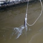 Inquinamento da Pfas: “Presenze significative nel Bisenzio e nell’Arno” / FOTO