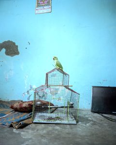 A Rifugio Digitale la mostra "Memoire Temporelle" del fotografo Kalpesh Lathigra