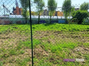 Area cani giardino di Via del Mezzetta: "Falsità contenuta nel Libretto di fine mandato 2019-2024 Quartiere 2"