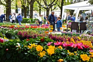 Biofioricola: a Pelago l'evento all'insegna dei sapori, della natura e della musica