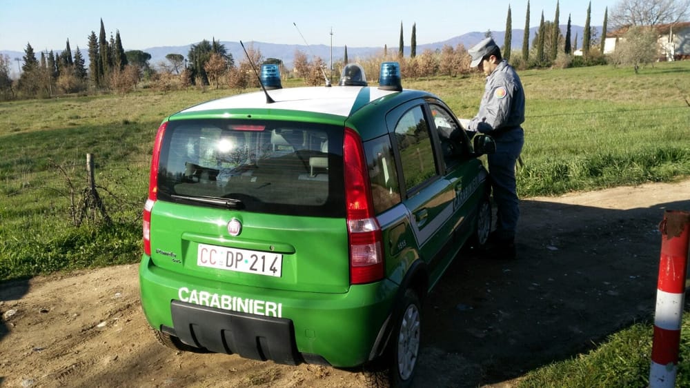 Smaltivano i fanghi limosi direttamente nel torrente