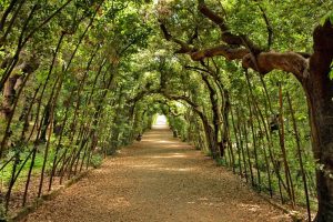 Visita guidata al Giardino di Boboli tra arte, natura e alchimia