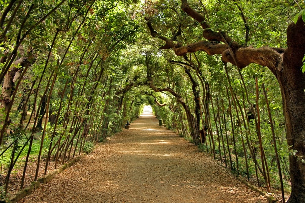 Visita guidata al Giardino di Boboli tra arte, natura e alchimia
