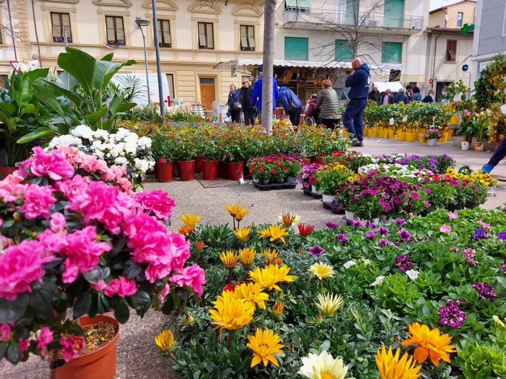 "Reggello fiorita", mostra mercato piante e fiori