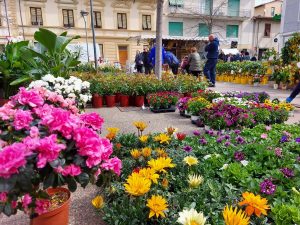 "Reggello fiorita", mostra mercato piante e fiori