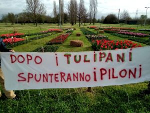 La denuncia: “Per fare una strada si distruggono due parchi”