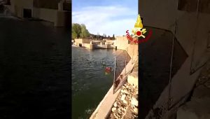 Cane in Arno non riesce a tornare a riva, salvato dai vigili del fuoco  VIDEO