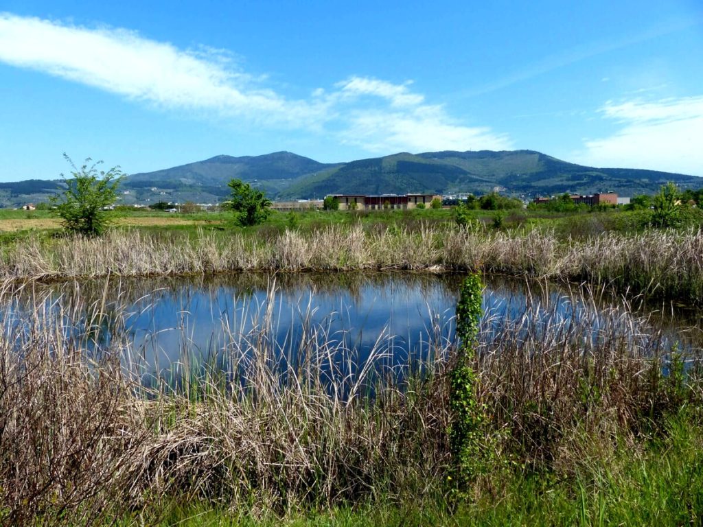 Festa delle oasi WWF: a Sesto Fiorentino visite gratuite all'oasi Val di Rose