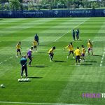Fiorentina, le ultime dal Viola Park verso il Viktoria Plzen / VIDEO