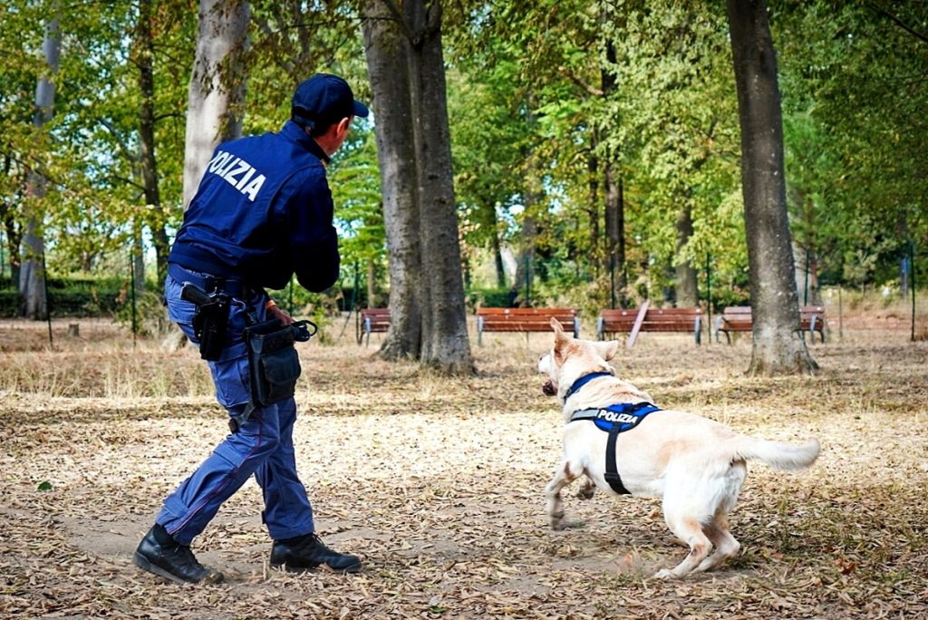 A spasso col cane trova due etti di coca su un albero