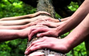 Immersione nel bosco "Movimento Legno"