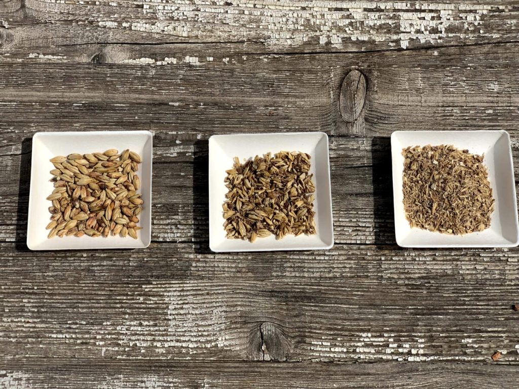 Recupero del cibo e antispreco: biscotti dalla birra