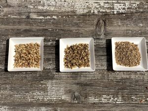 Recupero del cibo e antispreco: biscotti dalla birra