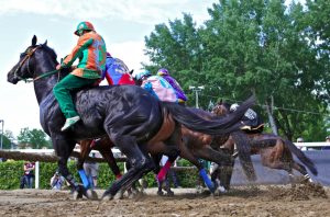 Palio di Fucecchio
