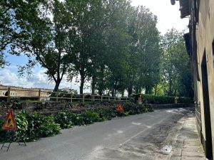 La protesta dei residenti: “Con la scusa della sicurezza distruggono il verde”