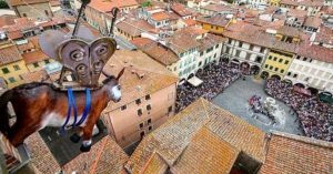 Volo del ciuco a Empoli