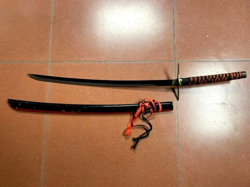In casa droga, una katana e oggetti rubati: espulsi