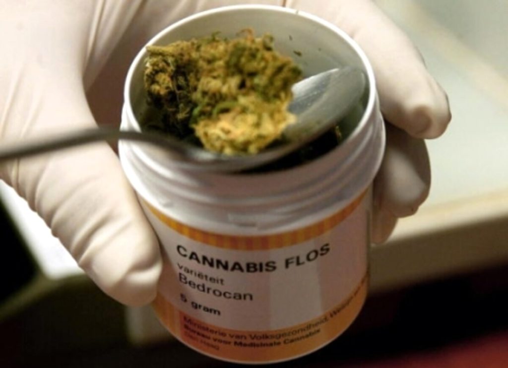 Cannabis terapeutica: fabbisogno in crescita, cosa prevede l'accordo tra Regione e Farmaceutico militare