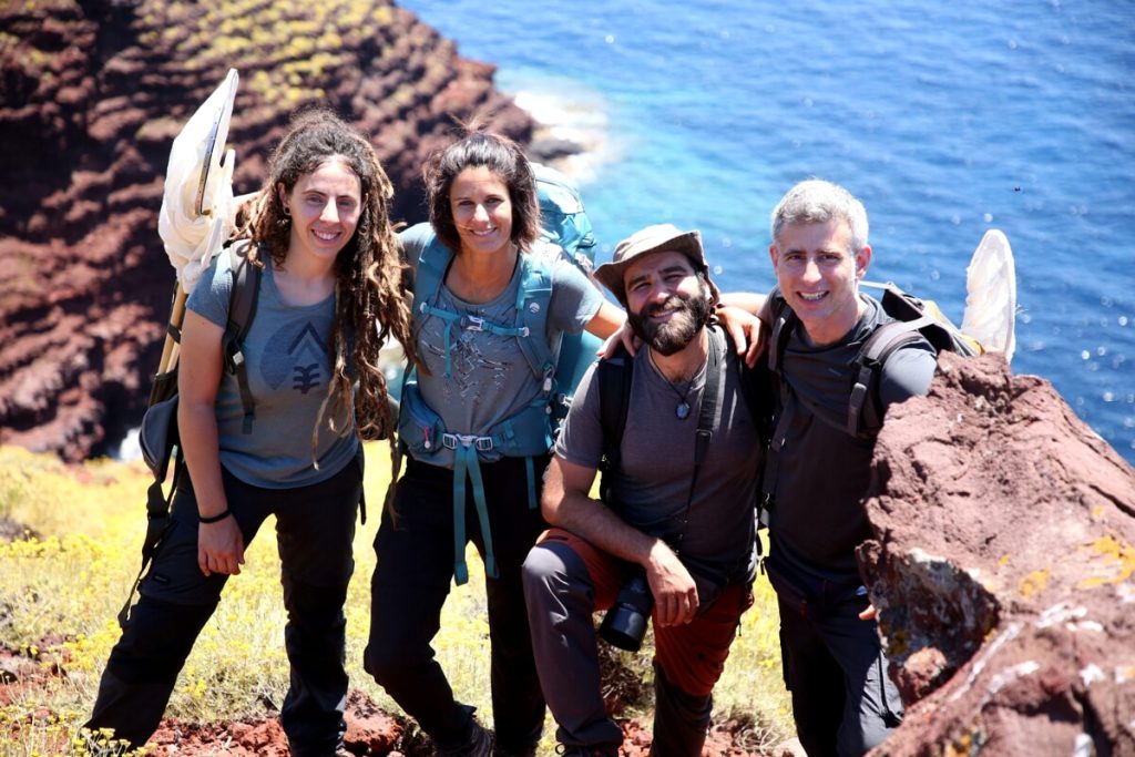 Inquinamento da microplastiche, salute degli impollinatori e rischi per la biodiversità: al via uno studio di UniFi