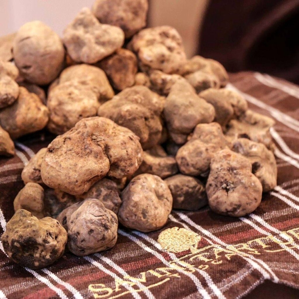 Sagra del tartufo scorzone