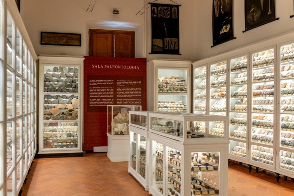 Visita straordinaria alla scoperta del Planetario e del Museo della Fondazione Scienza e Tecnica di Firenze
