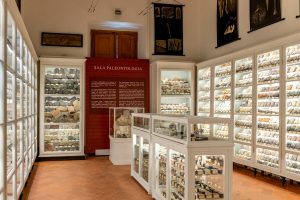 Visita straordinaria alla scoperta del Planetario e del Museo della Fondazione Scienza e Tecnica di Firenze