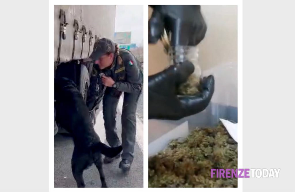 Cocaina, hashish, marijuana da Marocco e Spagna: 2 arresti, 8 indagati. Base logistica nel Fiorentino / VIDEO