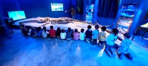 Gamps, una raccolta fondi per restare aperto