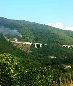 Incendio nel bosco a Calenzano