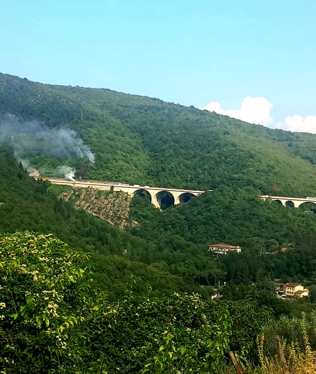 Incendio nel bosco a Calenzano