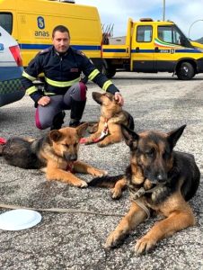 Lo spot della polizia contro l'abbandono degli animali / FOTO