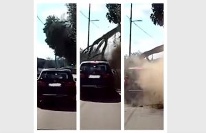 Il ramo d'albero che cade davanti all'auto in transito / FOTO