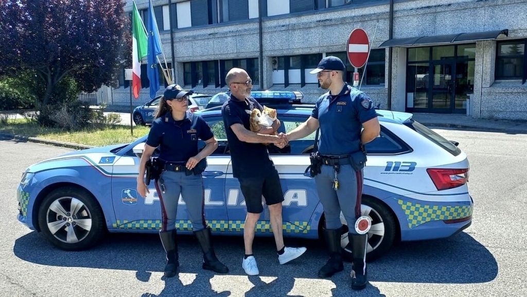 Gatto scappa da casa e finisce sull’A1