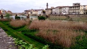 L’appello della Lipu per salvare la “spiaggetta del Terzo giardino”