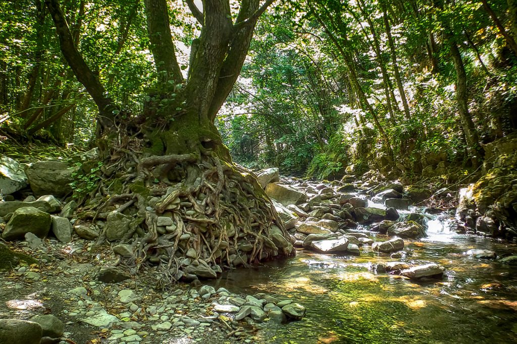 Quattro luoghi dove rifugiarsi al fresco vicino Firenze