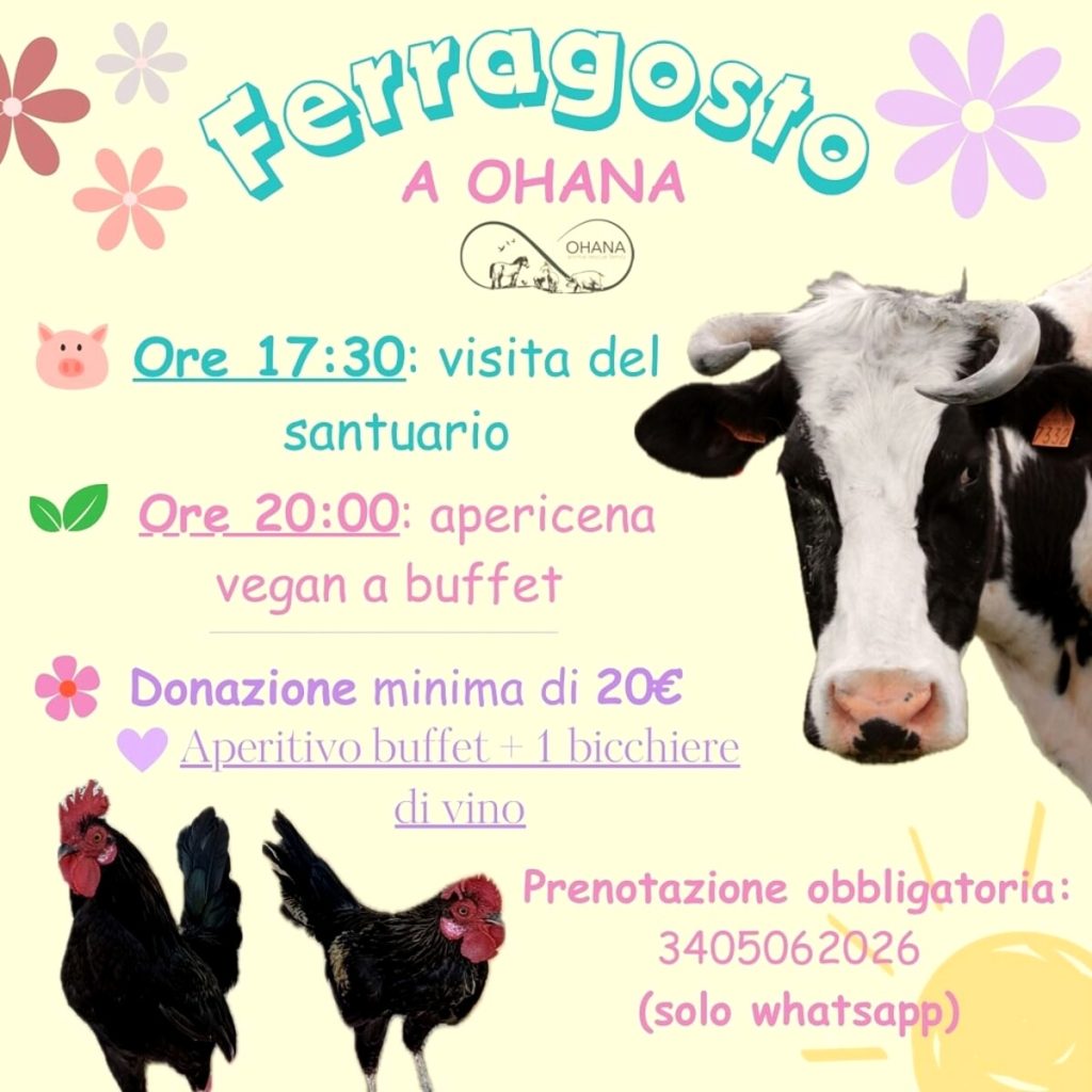 Ferragosto da Ohana Animal Rescue Family