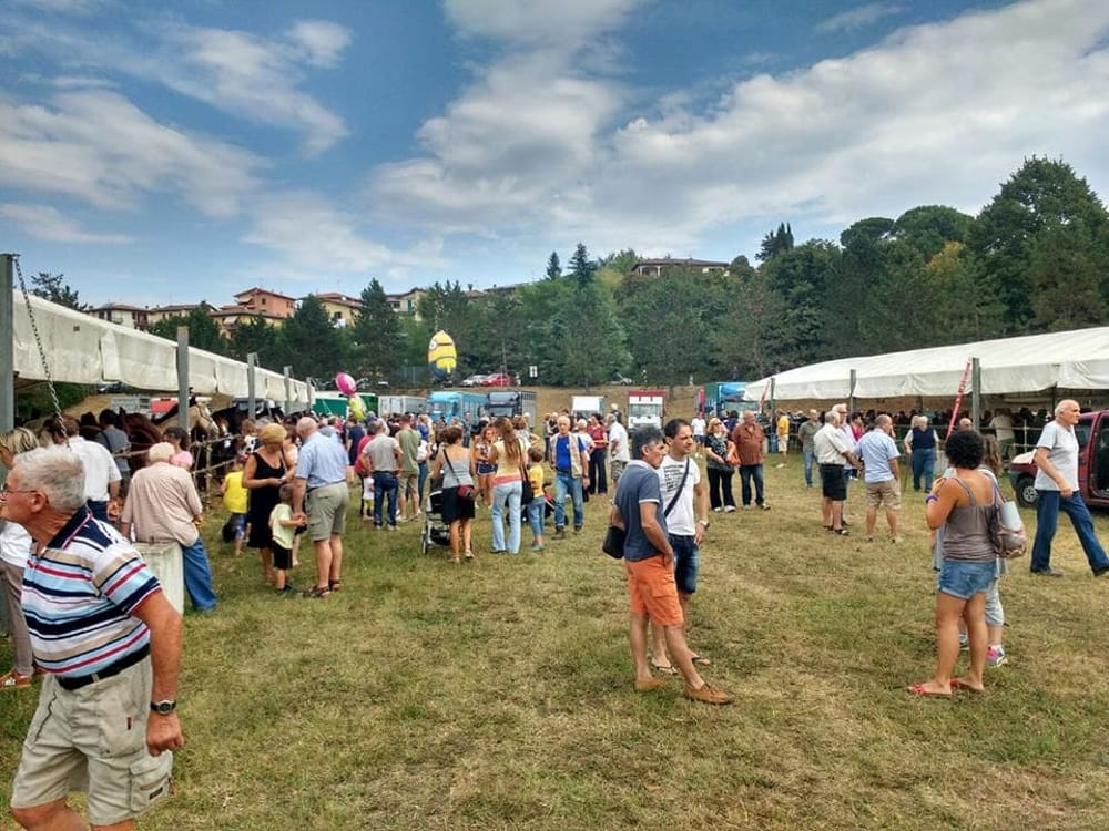 Fiera Calda di Fucecchio