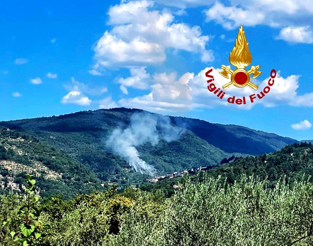 Bosco e olivi in fiamme, tre elicotteri in azione VIDEO - FOTO