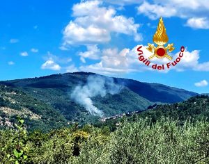 Bosco e olivi in fiamme, tre elicotteri in azione  VIDEO - FOTO