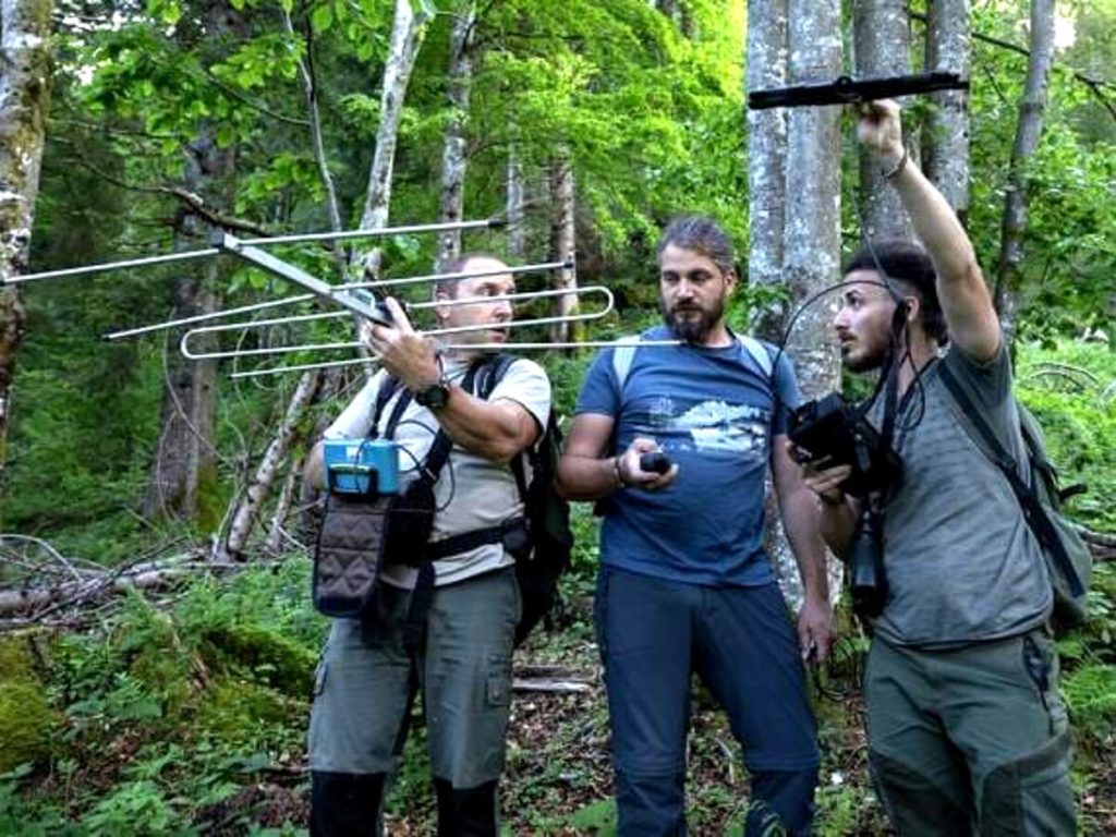 Alla Manifattura Tabacchi il documentario “Lupo uno”