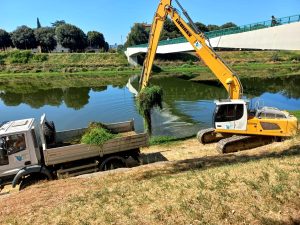Lavori in Arno contro l’alga alligatore