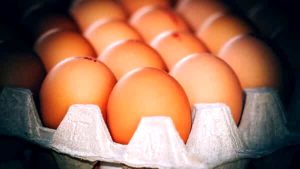 Rischio salmonella: lotti di uova ritirati dai supermercati