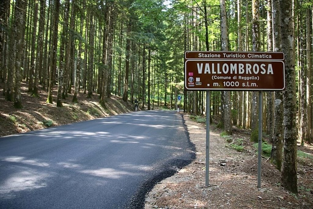 "Foresta maestra": torna il festival generativo dedicato a Vallombrosa
