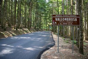 "Foresta maestra": torna il festival generativo dedicato a Vallombrosa