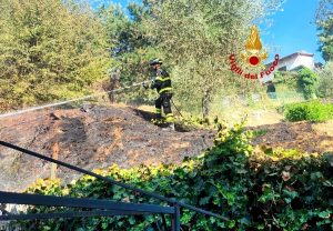 Incendio di bosco e sterpaglie, fiamme vicino alle case 
