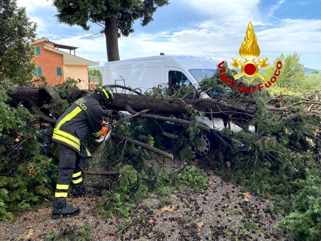 Maltempo: albero cade sui veicoli in sosta