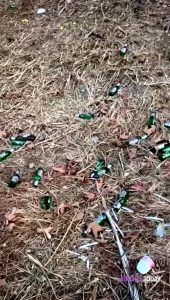 "Festini" lungo l'argine del Mugnone, i residenti: "Adesso basta"  VIDEO