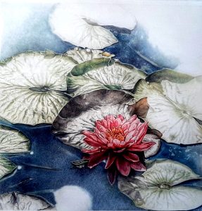 Art for Nature