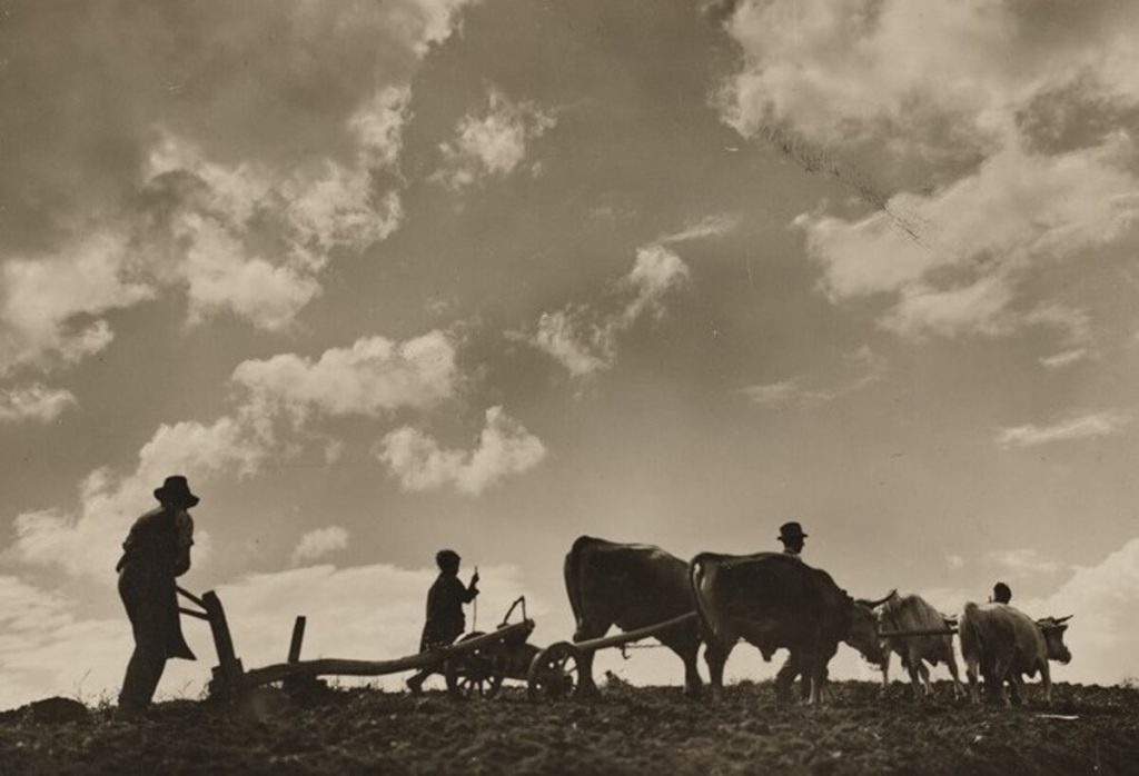 Mostra fotografica “Mondi Dimenticati”