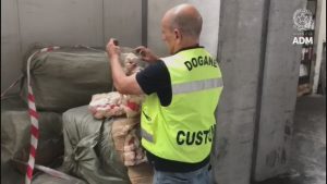 Giocattoli pericolosi provenienti dalla Cina: sequestrati 4.000 peluche  VIDEO